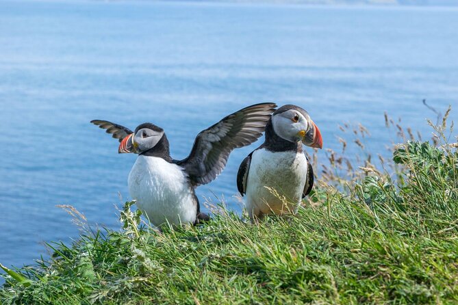 1 Day Moray Coast Tour with Speyside Whisky from Inverness - Key points before you book
