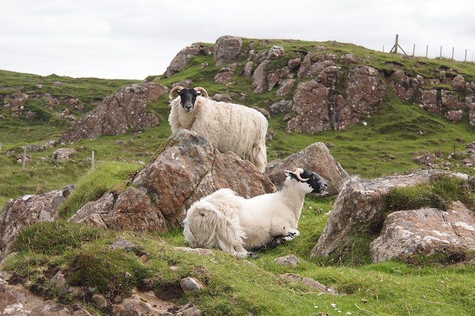 1 Day Tour from Inverness - Isle of Skye, Fairy Pools, and Eilean Donan Castle - Fairy Pools Walk: River Brittle, Wild Swimming Possibility, and Proper Footing