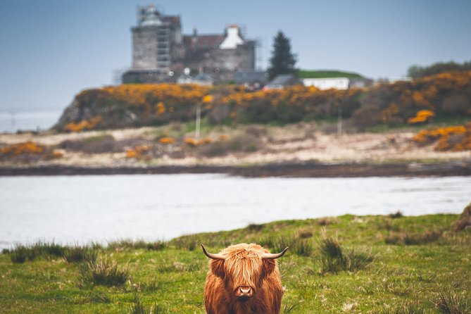3-Day Isle of Mull and Iona Small-Group Tour from Glasgow - Oban for Victorian harbor vibes and seafood fuel