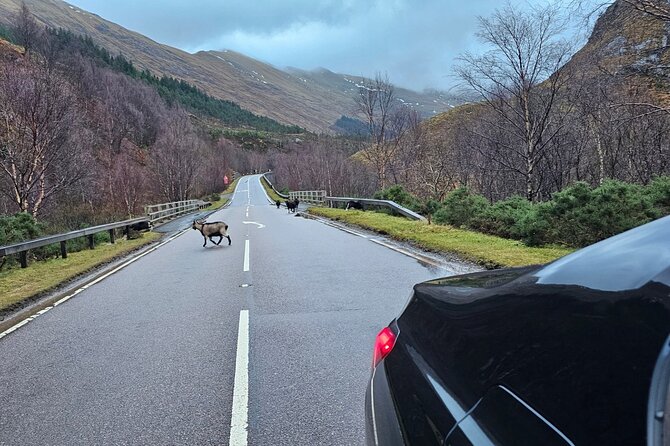 3 Day Isle of Skye Adventure from Edinburgh - Edinburgh pickup and the private group comfort factor