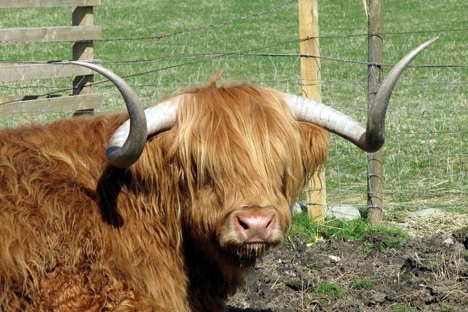 3-Day Isle of Skye and Highlands Tour from Glasgow - Why this Skye and Highlands loop works from Glasgow