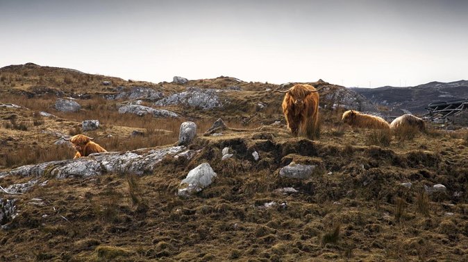3-Day Lewis, Harris and the Outer Hebrides Small-Group Tour from Inverness - Ullapool to Stornoway by ferry: the sea day you actually want