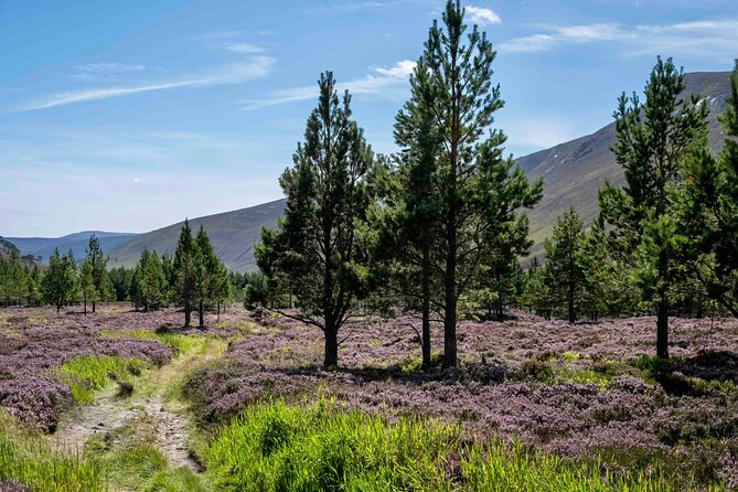 4,000ft Mountain Hike in the Scottish Highlands - What to pack so wind and rain don’t win