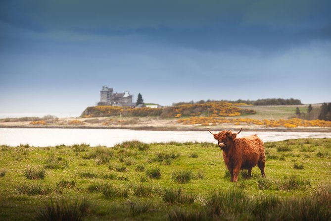 4-Day Magical Mull, Iona & West Highlands Small-Group Tour from Edinburgh - Mini-Coach Comfort and Small-Group Rhythm