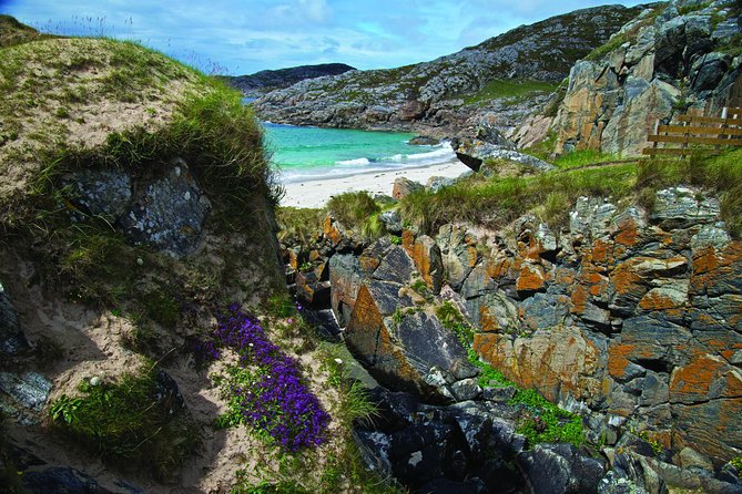 5-Day Highland Explorer and Isle of Skye Small-Group Tour from Edinburgh - Day 3: Applecross lunch, Bealach na Ba, and the palm-tree surprise in Plockton