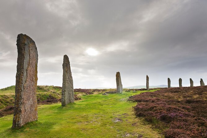 5 Days Orkney Islands & NC500 Tour from Glasgow - The North Coast 500 run to Orkney: cliffs, WWII stories, and Scapa whisky
