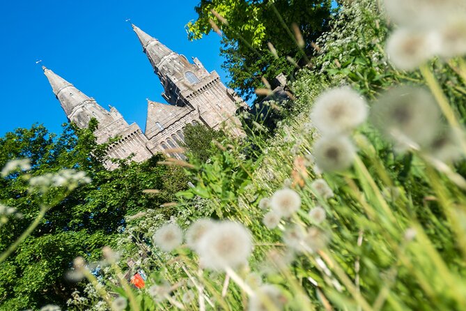 Aberdeen Historical Walking Tour - Stop 1: St Machar’s Cathedral and the Heraldic ceiling