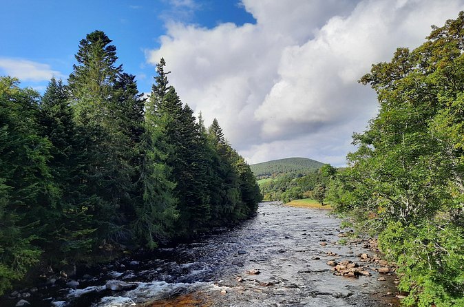 Aberdeenshire Castle Trail - Private Tour from Inverness - The Watchers: built for photos, made for sitting