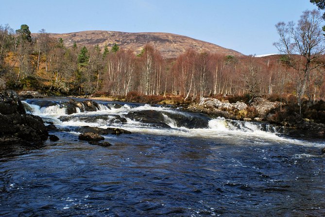 Alternative Loch Ness Tour by Secret Highlands - Corrimony Chambered Cairn: 4,000 Years In 20 Minutes