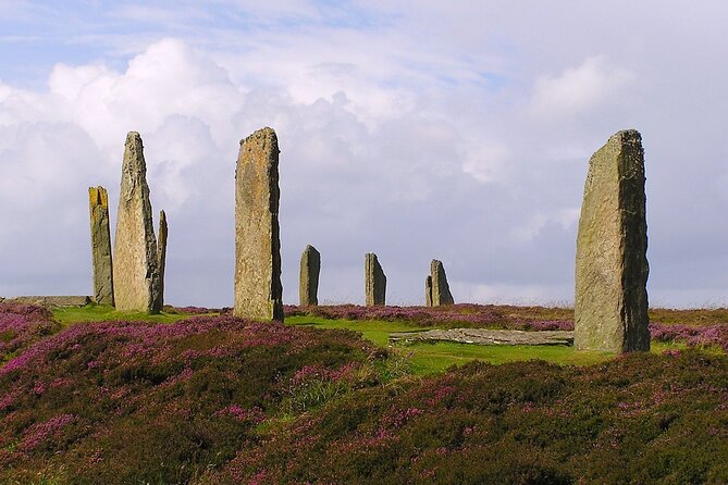 Bespoke Private Guided Tours - The 6 to 8 Hour Route: what your day will feel like
