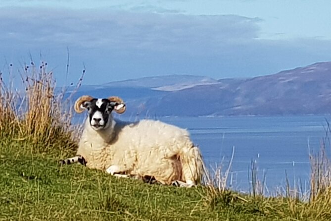 Bespoke Private Tours of Scotland and the Borders - How to prepare so the day feels smooth