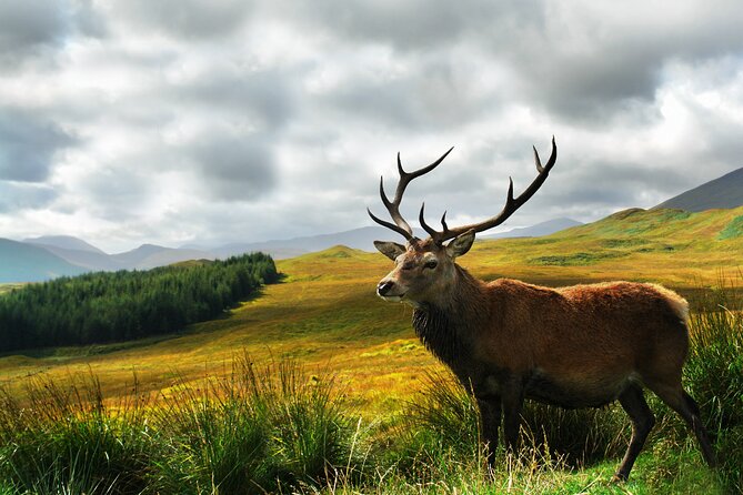 Best of The Highlands – Private Tour - Weather, Packing, and Photo Tips for a Highlands Day