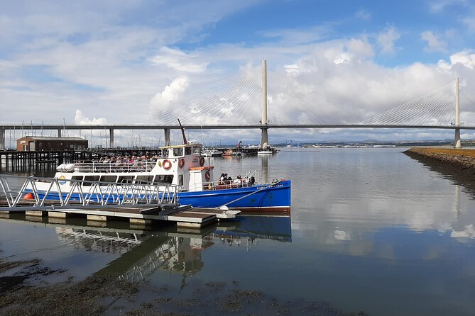 Blackness Castle Cruise - Wildlife Chances: Seals, Seabirds, and the Nice Surprises