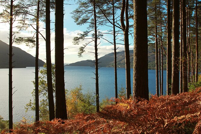 Bonnie Lochs & Bold Whisky Small Group Tour from Edinburgh - Getting on the mini-coach: 9:00 am start and a practical meeting point