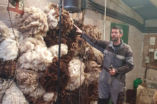 Bressay Explorer Crofting and Island Life Tour - GarthsCroftBressay, where you learn by watching the work