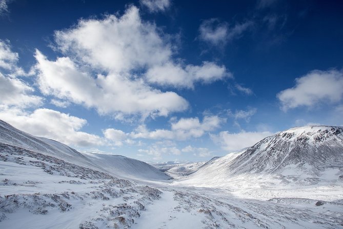 Cairngorms & Whisky Day Tour from Inverness Including Admission - Tomatin Distillery Tour and Tasting: More Than a Stop for a Dram