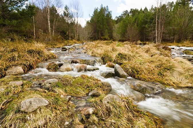 Cairngorms & Whisky Day Tour from Inverness Including Admission - Aviemore Lunch Break: Reset Your Body Before Whisky