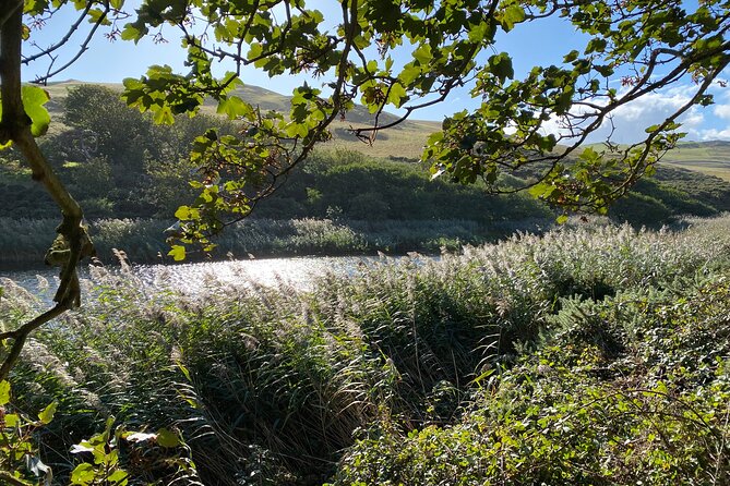 Castles, Coastline and Whisky Tasting Tour with Admission - Private Whisky Tasting: How to Make the Most of the Final Hour