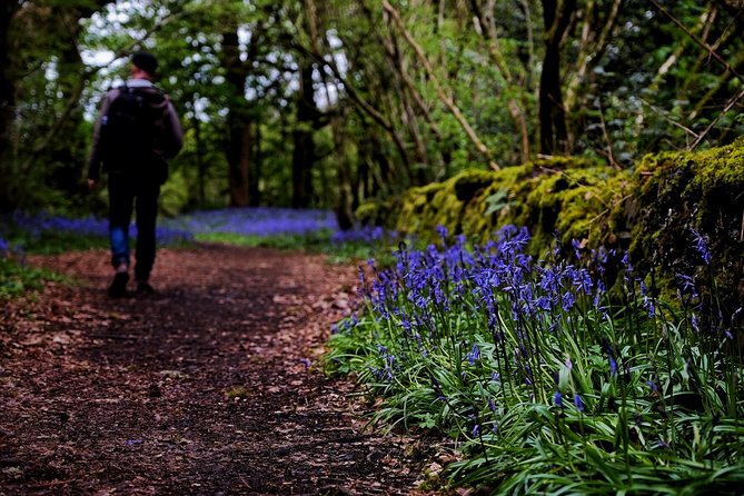 Central Scotland Driving Tour - Stirlingshire (Private) - Callander Visitor Information: the Highlands gateway moment