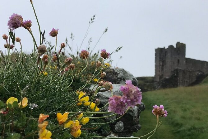 Coasts & Ghosts: Haunted Northumberland - Chillingham Castle - Getting picked up in Edinburgh, then going straight to the good stuff