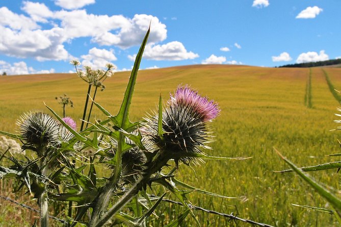 Cycle To Loch Ness - Self Guided - Dores at Loch Ness: the best part is time, not just distance