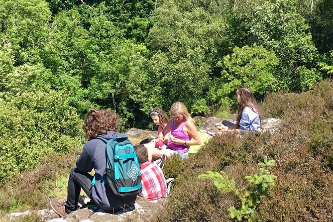 Discover Scotland Off the Beaten Track - Behind-the-falls options: photo time without the panic