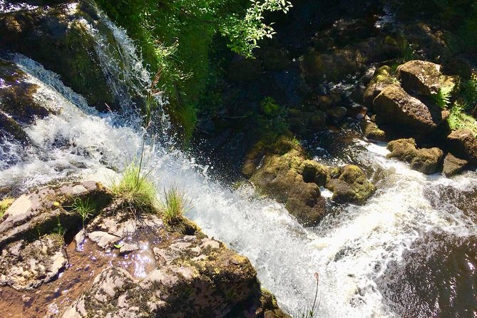 Discover Scotland Off the Beaten Track - Your guide on the day: what Ferenc brings to the walk
