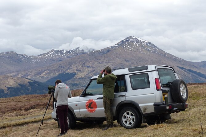 Discovery Wildlife Safari - Meeting at Lochearnhead: simple start, real-world comfort