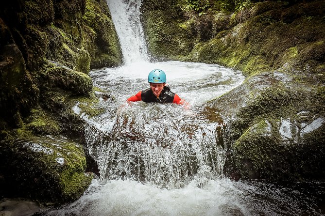 Dollar Falls Canyoning Trip - Descending Dollar Canyon: jumps, slides, and abseils in a logical flow