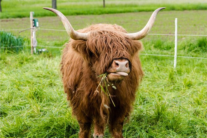 Doune Castle and Highlands Day Tour from Glasgow - Who should book this tour, and who should skip it