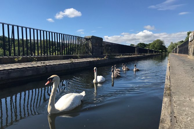 Edinburgh City Bike Tour - Choice of E-Bike or Manual - Arthur’s Seat at the Holyrood edge, without committing to a full hike