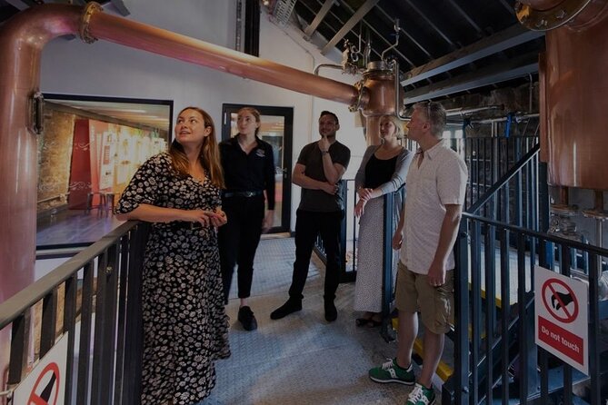 Edinburgh: Holyrood Distillery Whisky and Gin Tour & Tasting - Key highlights you will care about