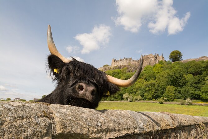 Edinburgh: Loch Lomond, Stirling Castle and the Kelpies Day Tour - Loch Lomond at Balloch and Loch Lomond Shores: choose cruise or a calm walk