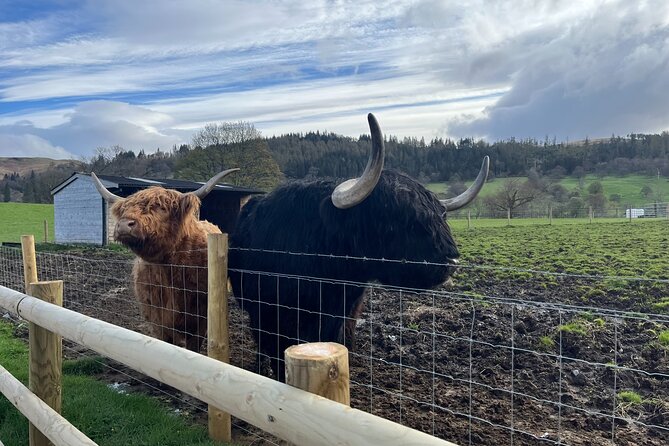 Edinburgh: The Kelpies, Stirling Castle, Loch Lomond & Trossachs - Stirling Castle and historic Stirling: 1 hour 30 minutes of options