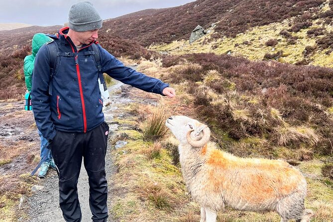 English Speaking Homestay Exploring Edinburgh and National Parks - Day two at Grey Mare’s Tail: waterfalls, rivers, and Loch Skeen