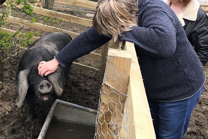 Errichel Farm Tour - Getting started at Thyme Delicatessen in Errichel (and why it matters)