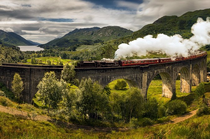 From Edinburgh: Glenfinnan, Highlands & Hairy Coos - Taste Perthshire and the Hairy Coos: close-up fun, with a timing catch