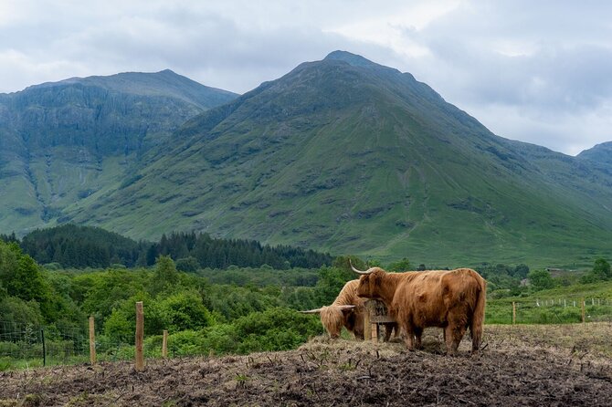 From Glasgow: Scottish Highlands and Loch Ness Day Tour - Why this Highlands and Loch Ness bus day tour feels worth it from Glasgow