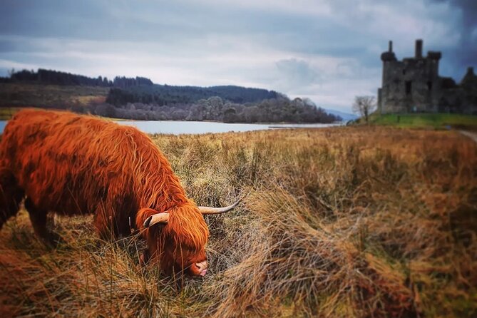 Full Day Private Tour in West Highlands, Oban and Glencoe - Loch Lubnaig: A Quick Photo and Comfort Break in Loch Lomond National Park