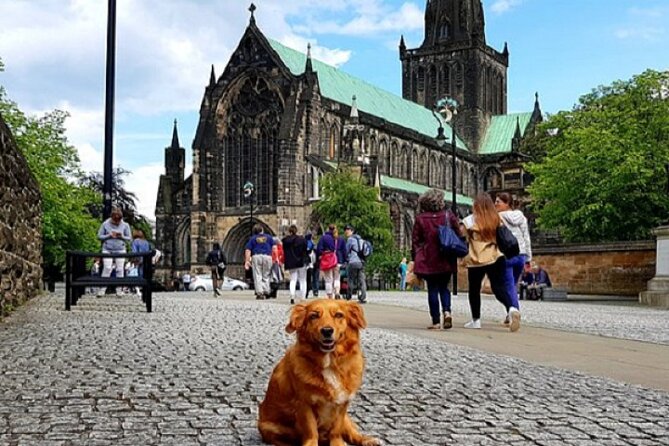 Gander Walking Tours in Glasgow - Why this Glasgow walk feels like a locals’ story