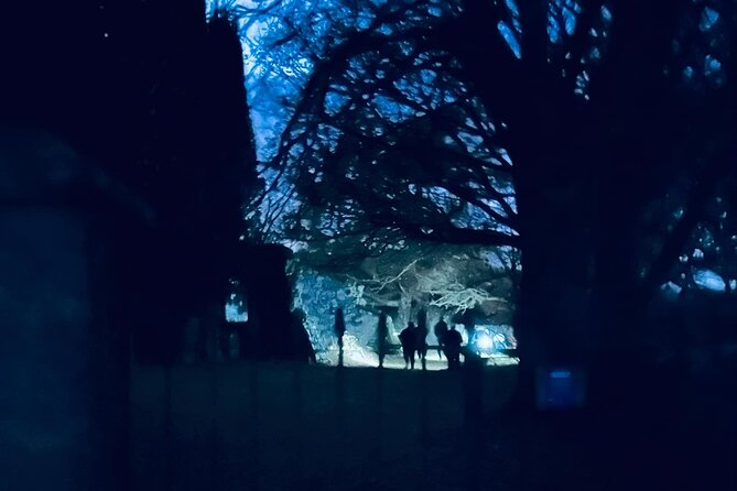 Ghost, Ghouls and Graveyards Private Highland Tour - Price and logistics: what you are really paying for