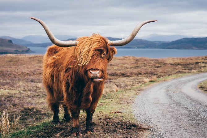 Glasgow: Isle of Skye, The Highlands and Loch Ness - 3 Day Tour - Should You Book This Isle of Skye and Loch Ness Tour from Glasgow?