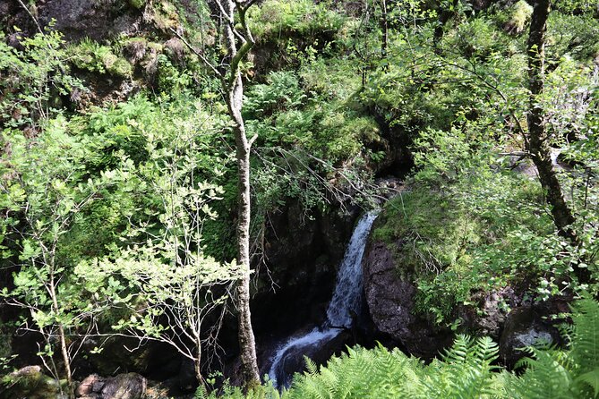 Glencoe Hidden Valley Hike - Down into the River Coe gorge, then up again