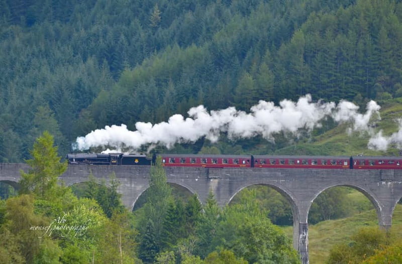 Glenfinnan: Glenaladale cruise, see the train and eagles 2hr - Key highlights to know before you go