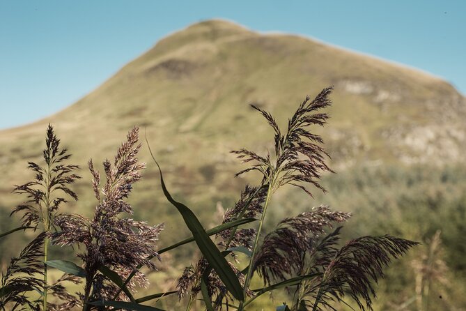 Glengoyne Distillery Tour with Whisky and Chocolate Tasting - My practical verdict: should you book Glengoyne plus chocolate?