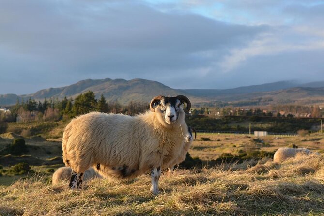 GREENOCK (GLASGOW) SHORE EXCURSION: Scotland Adventure Sightseeing Day Trip Tour - Key highlights and what to look for