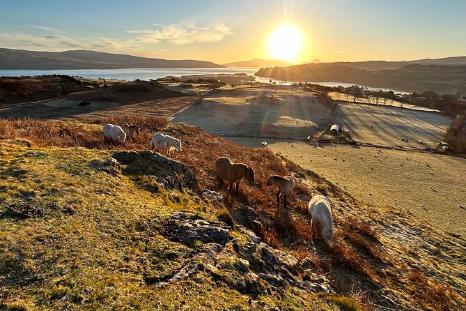 Guided Hebridean Farm Hike near Tobermory, Isle of Mull, Scotland - Scheduling on Mull: When This Hike Runs