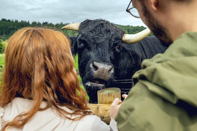 Hairy Coos & Highland Views: A Short Day Escape from Edinburgh - Key highlights at a glance