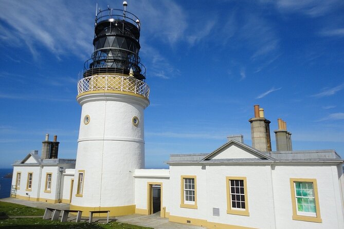 Half Day Private Tour with Puffins, Ponies and Past Shetland - Key reasons this half day tour works
