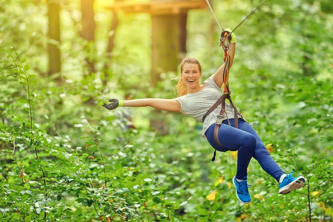 High Ropes and Adventure Tree Top Experience - Key Things to Know Before You Climb